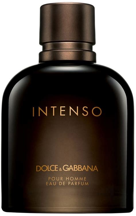 dolce gabbana for men|dolce and gabbana sale men's.